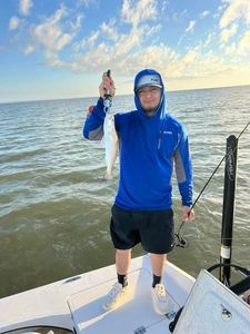 Awesome hook of the day!
