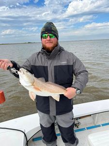 Redfish caught fishing in TX