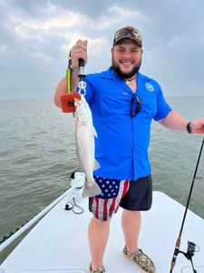 A single spotted weakfish measuring 16 inches, caught in Matagorda, Texas while fishing.