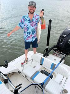 Spotted weakfish caught in Matagorda during fishing