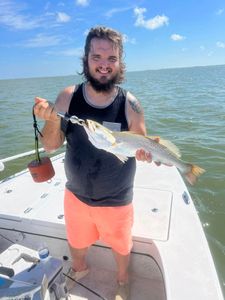 Photograph of a single spotted weakfish caught while fishing in Matagorda