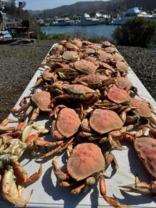 Crab Feast! - Winchester Bay, OR.