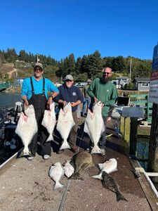 Catch of the day: 6 Pacific Halibut in Oregon