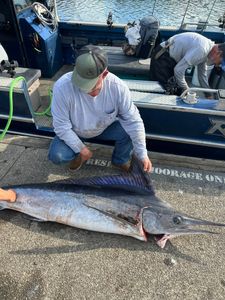 Blue Marlin caught while fishing in Reedsport