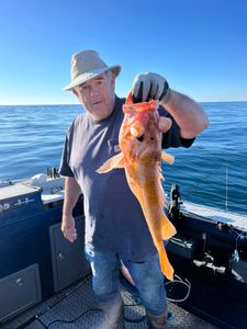 one fisherman catching a 23-inch fish in reedsport