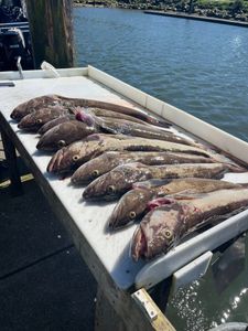 Stunning landscape of Reedsport, showcasing the best fishing spots