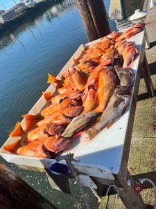 Two fishing rods in picturesque oregon landscape
