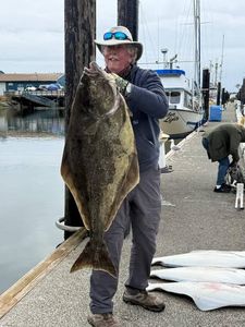 Large Pacific halibut catch displayed at Reedsport OR marina dock