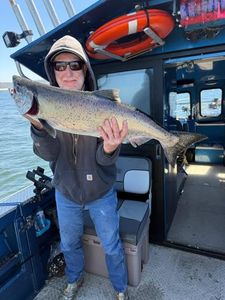 Chinook salmon catch displayed on fishing boat in Reedsport OR