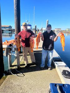Three 19-inch fishing catch in Reedsport