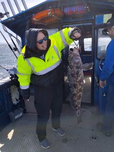 Fresh caught lingcod displayed on fishing boat deck in Reedsport OR