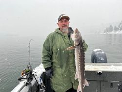 A white sturgeon fish caught while fishing in Reedsport