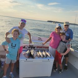 3 fish caught during a cruises and fishing excursion in Baltimore