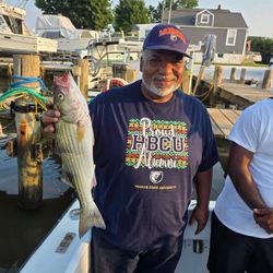 Striped bass caught during fishing charter in Baltimore MD