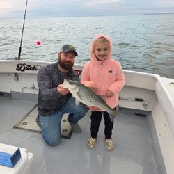 Striped bass caught during fishing charter in Baltimore MD