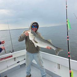 Striped bass caught during fishing charter in Baltimore MD