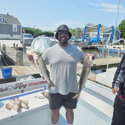 Fresh caught striped bass displayed on fishing charter boat deck in Baltimore MD