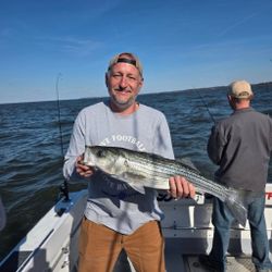 Striped bass catch on fishing charter boat in Baltimore MD waters