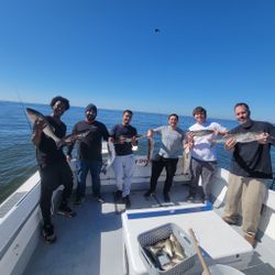 4 striped bass caught in Baltimore, Maryland during a fishing cruise