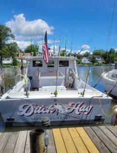 Scenic landscape in MD during a cruise or fishing trip