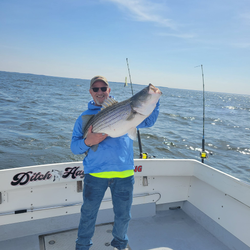 A person fishing in Baltimore