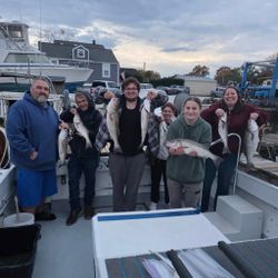 7 striped bass caught in Baltimore during cruises and fishing