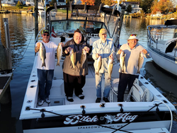 Seven striped bass caught while fishing in Maryland