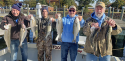 Six striped bass caught during a fishing cruise in Baltimore
