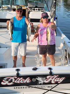 Three striped bass caught by two people fishing in Baltimore