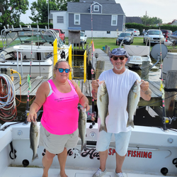 4 striped bass caught during a fishing cruises in Baltimore