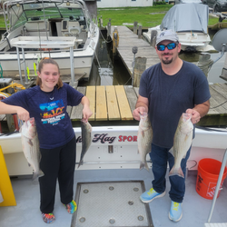 Four striped bass caught by two people on a fishing trip in Baltimore