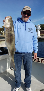 Striped bass fishing in MD