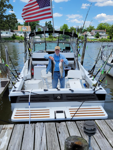 Two striped bass caught in MD by angler