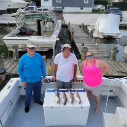 Two striped bass caught on fishing cruises in MD