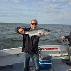 White Bass fish caught while fishing in Baltimore