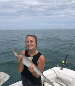 Atlantic Sharpnose Shark caught fishing in FL