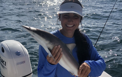 Atlantic Sharpnose Shark, 12 inches, fishing at Madeira Beach