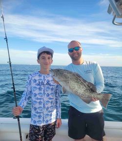 Gag Grouper fish caught while fishing in FL