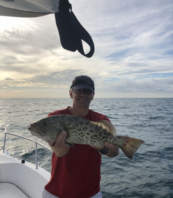 Photo of a gag grouper, a 24-inch fish caught while fishing in Madeira Beach