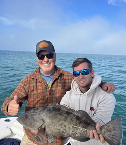 Gag grouper, 27 inches, caught at Madeira Beach