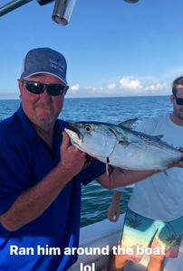 Little Tunny fish caught in Madeira Beach