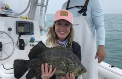 A single Tripletail fish caught while fishing at Madeira Beach