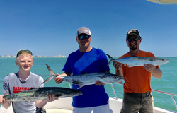 3 Spanish Mackerel fish caught in FL