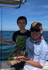Tripletail fish caught while fishing in FL