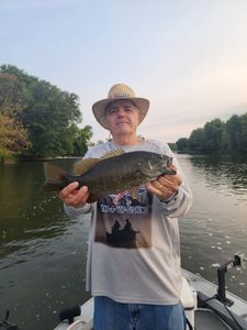 Bass Fish Of The Day.
