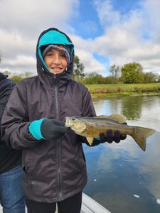 Dayton's Smallmouth Beauty Capture. 