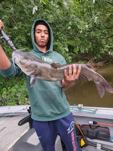 Dayton's Prime Catfishing Haven