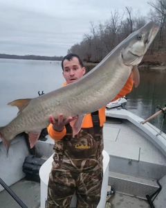 Dayton Musky Marvels Unleashed