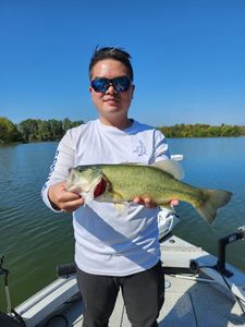 Dayton's Finest Bass Capture.