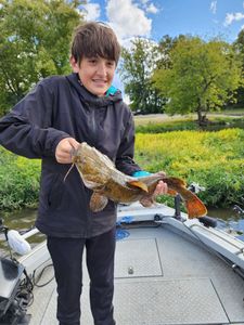 Catfish Bliss: Dayton's Waterworld